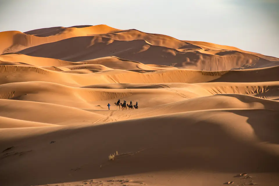 The golden dunes of Erg Chebbi near Merzouga, a small camel caravan crossing