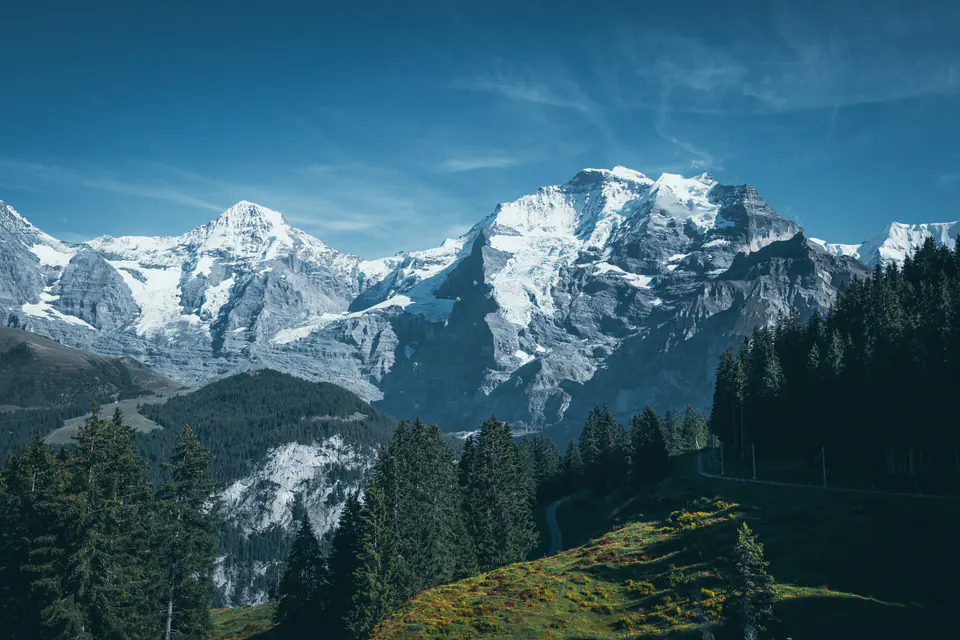 The snow-covered peaks of the Jungfrau region above the forests near Lauterbrunnen