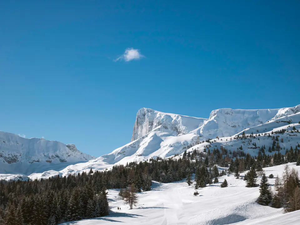 The limestone cliffs of the Pic de Bure above the Dévoluy forests in winter